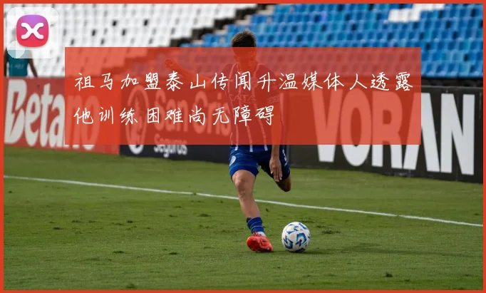 祖马加盟泰山传闻升温媒体人透露他训练困难尚无障碍